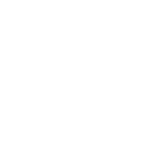 Customer Experience Leader